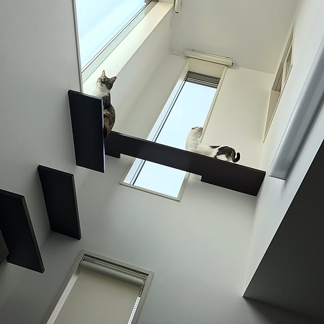 壁/天井のインテリア実例 - 2017-06-25 22:07:26