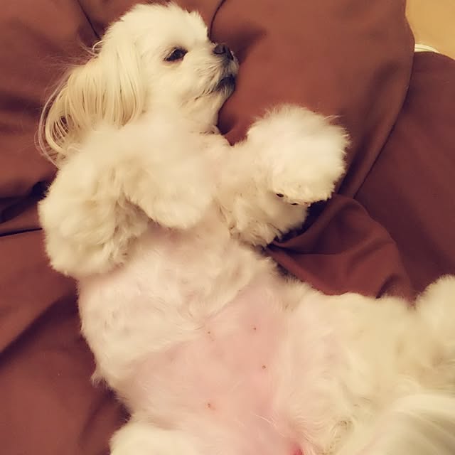 Sonokoさんの実例写真