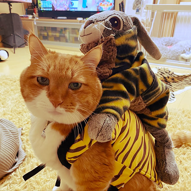 mako1210さんの実例写真