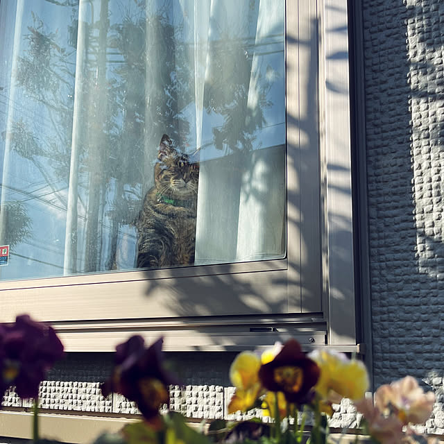 yukarin-gardenさんの部屋