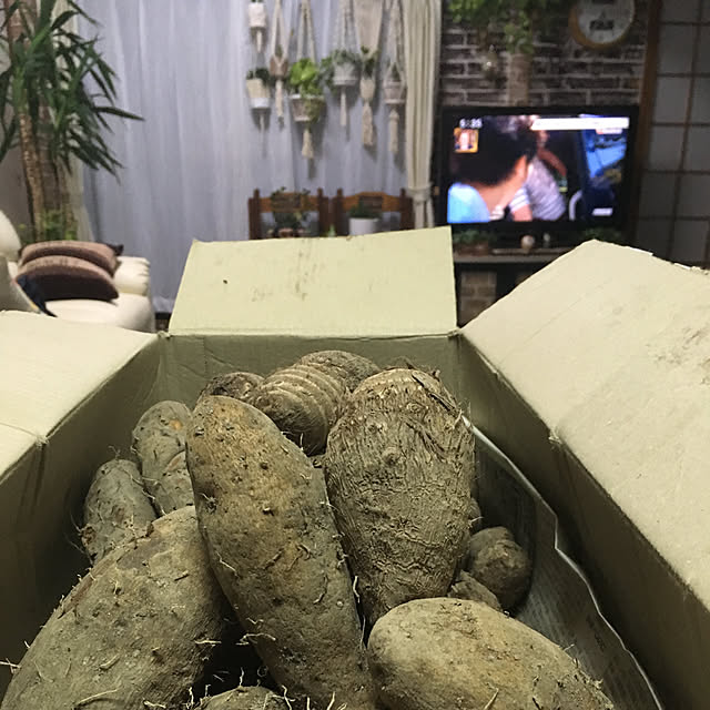 nanaさんの実例写真