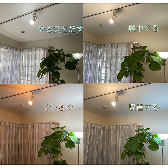 akoさんの実例写真