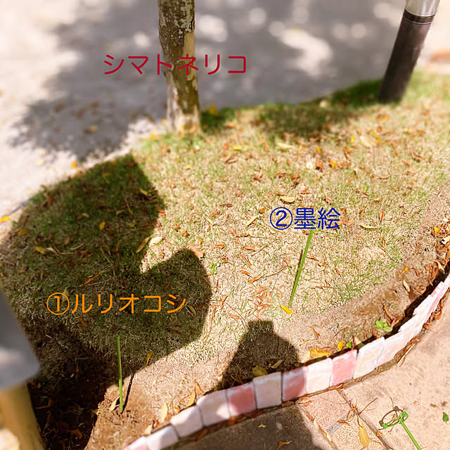 sunabaさんの部屋