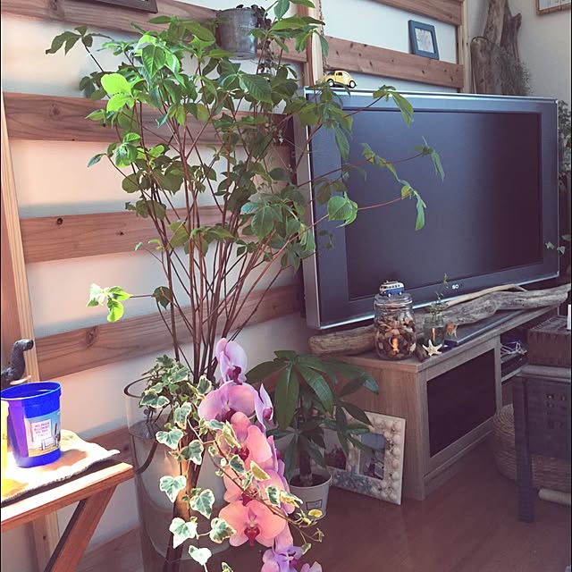 macchoさんの実例写真