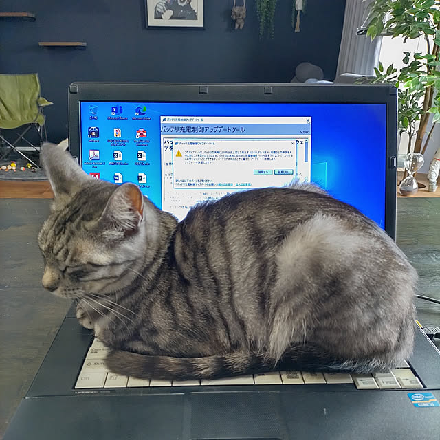 実例写真