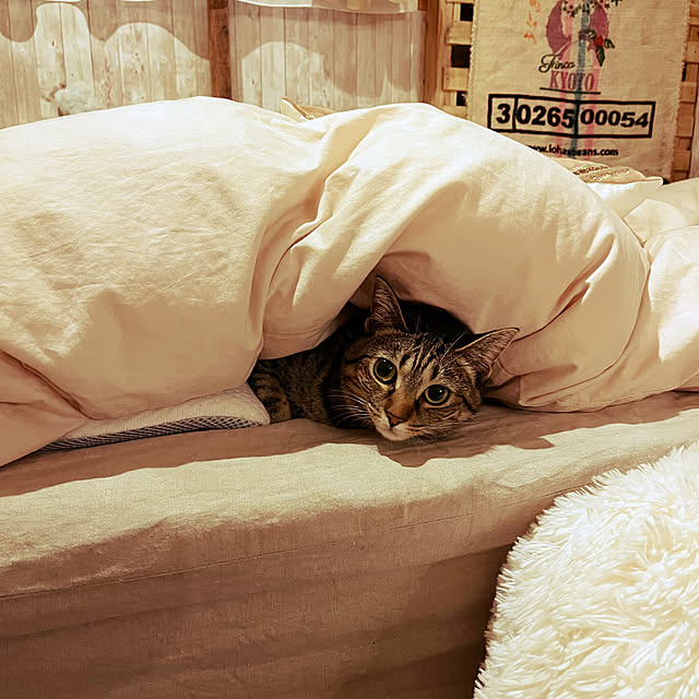 Mさんの実例写真