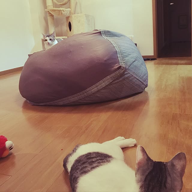 haney07さんの実例写真