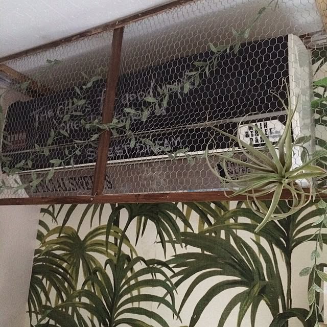 painmomoさんの実例写真