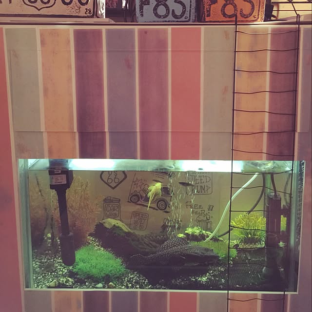 imaさんの実例写真