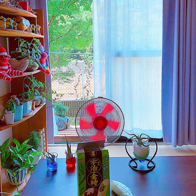 koyuriさんの実例写真
