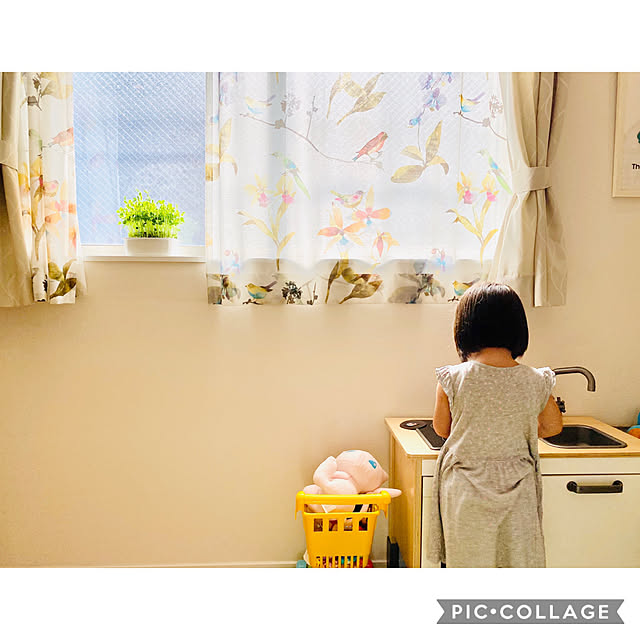 sasaeriさんの実例写真