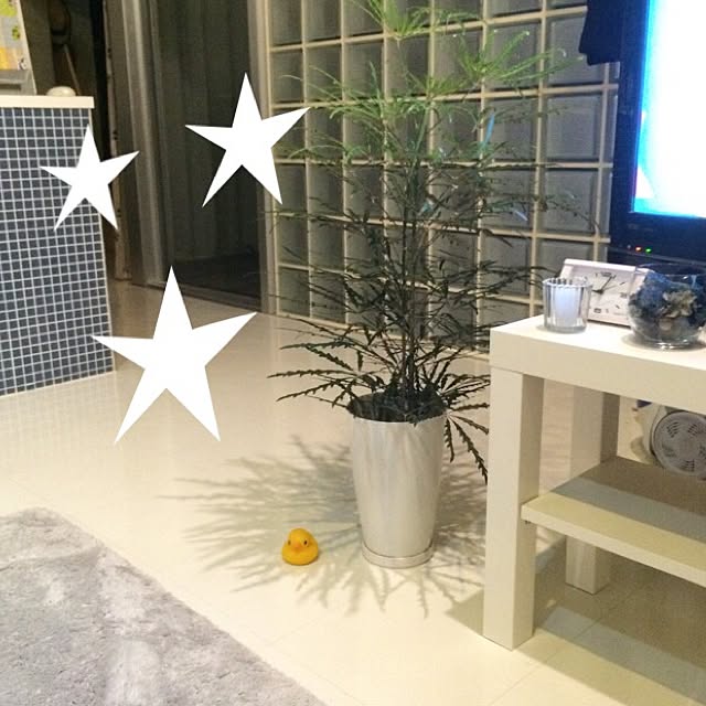 yuuuriさんの実例写真