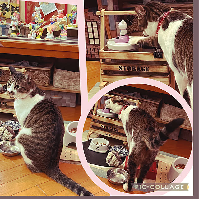 jijiさんの実例写真