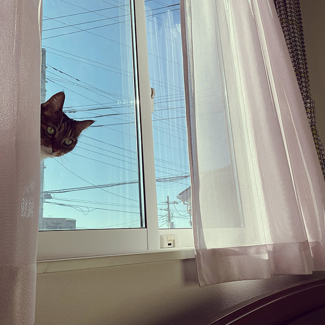 RURuさんの実例写真