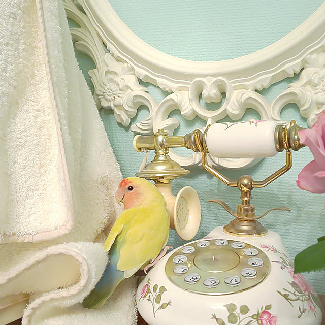 twinkle-butterfly38さんの実例写真
