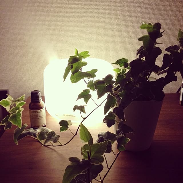 0102さんの実例写真