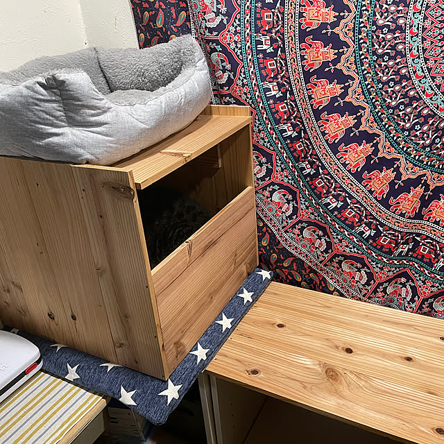 coolcats0528さんの実例写真