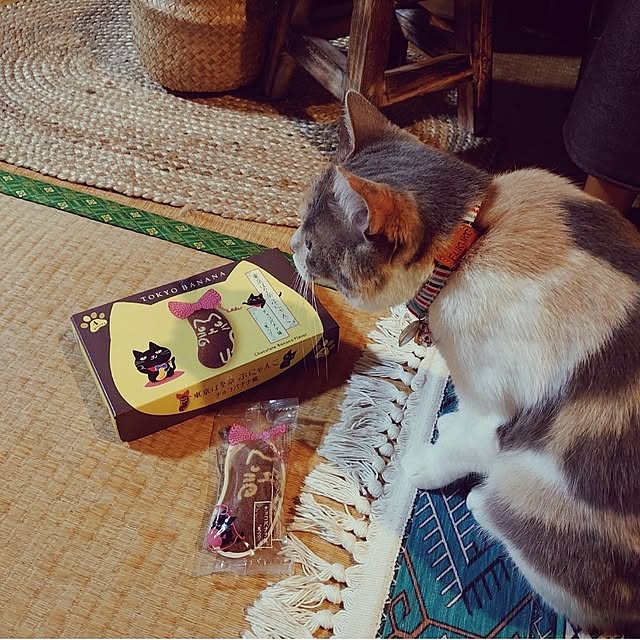 fukuさんの実例写真