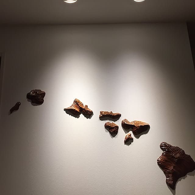 gonzo___jpさんの実例写真
