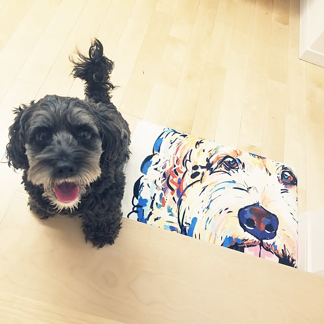 shimaaadsさんの実例写真