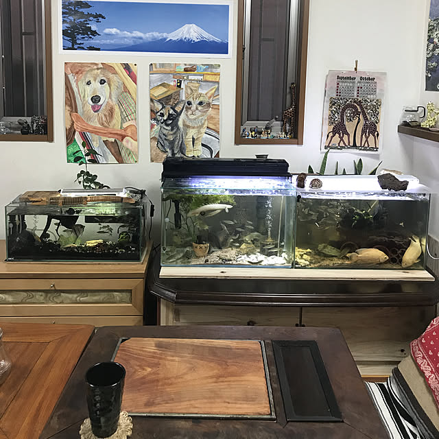 tornadeさんの実例写真