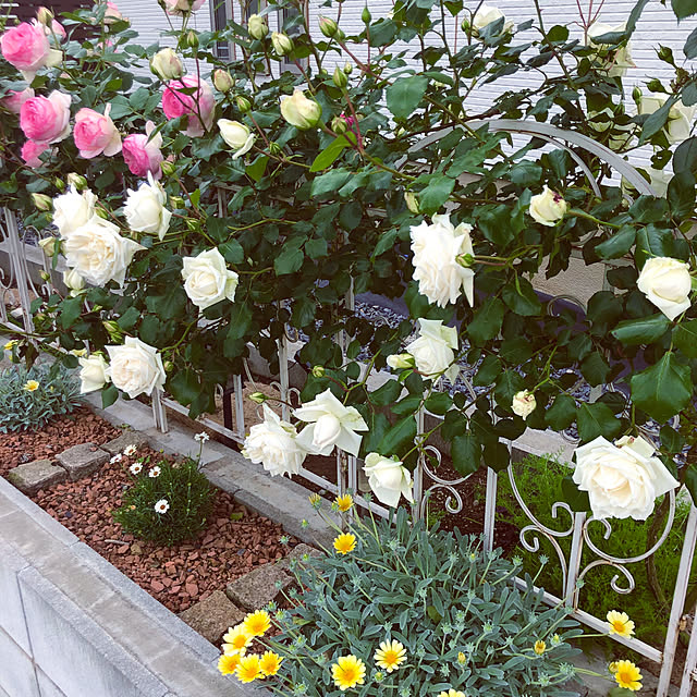 tomoさんの部屋