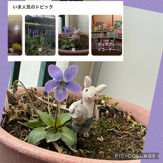 Aqettyさんの部屋