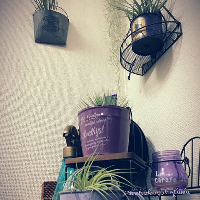 kohaku.kofukuさんの実例写真