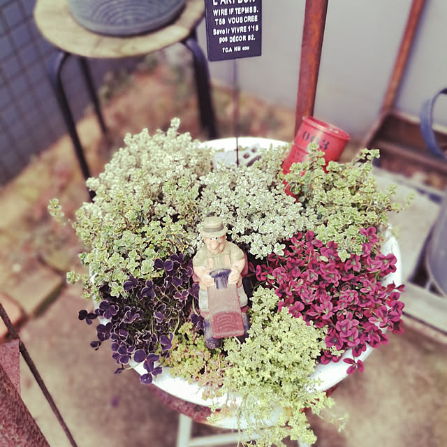 haxtusi301さんの実例写真