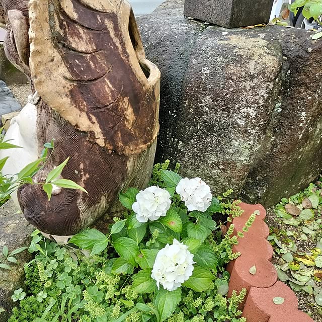 sumimarumiさんの部屋