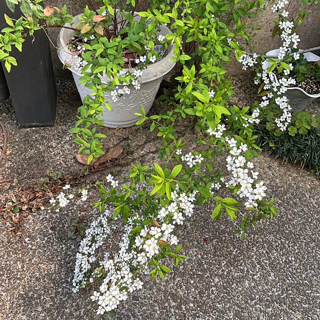 fumikoiさんの部屋