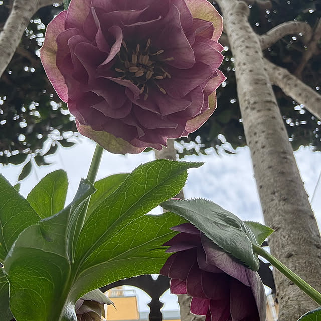 mamizaさんの部屋