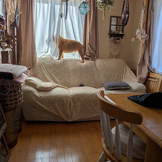 chi_gogaさんの実例写真