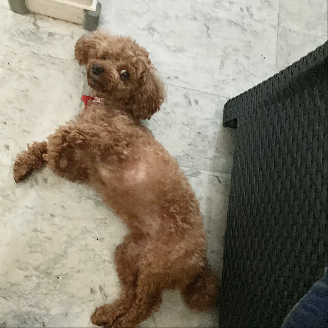 MOMOMAMAさんの部屋