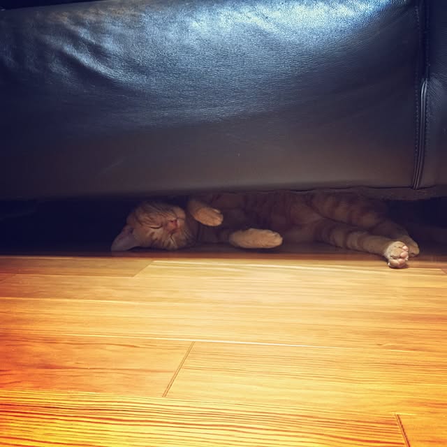 hiro3さんの実例写真