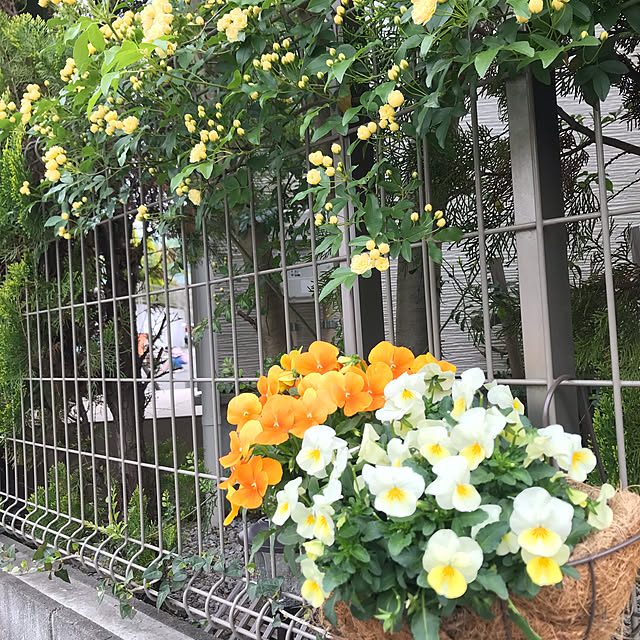 satominさんの実例写真