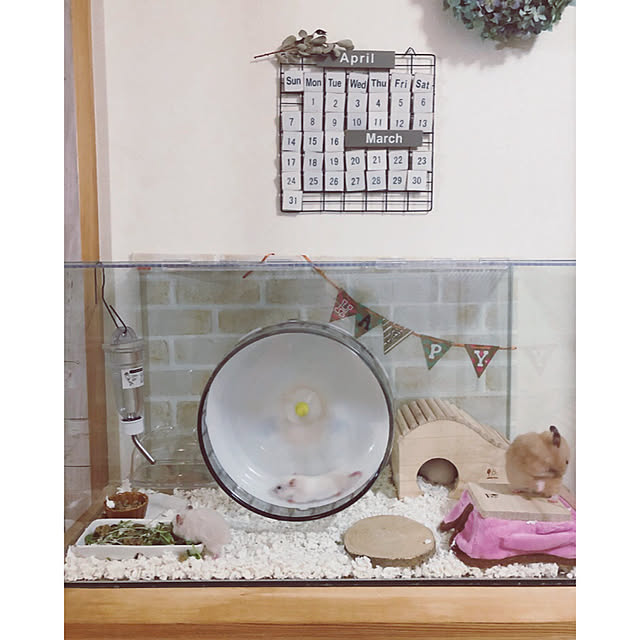 emiさんの実例写真