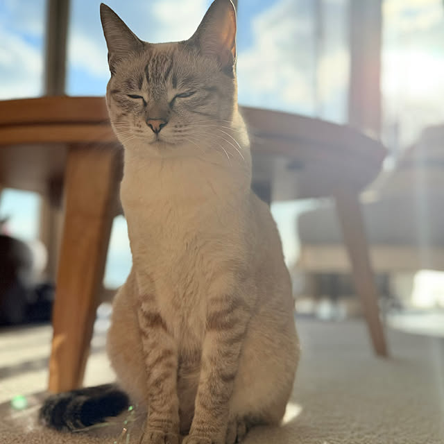 amさんの実例写真