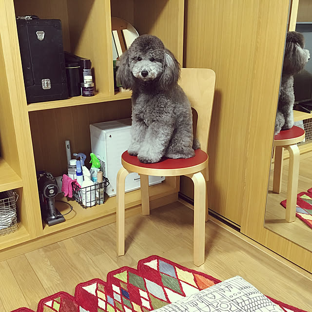 sunnydayさんの実例写真