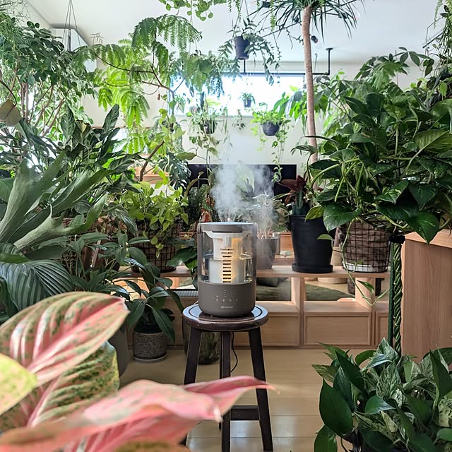 ayamameさんの実例写真