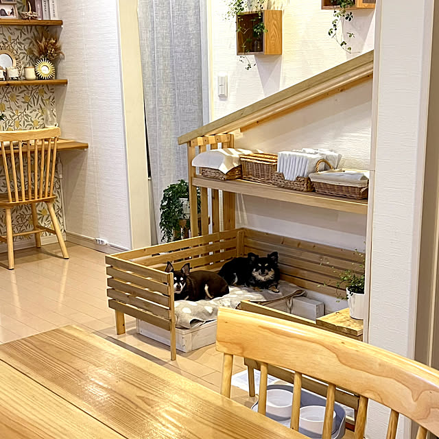 yumimaruさんの部屋