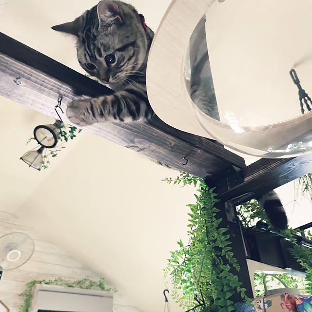 hiro3さんの実例写真