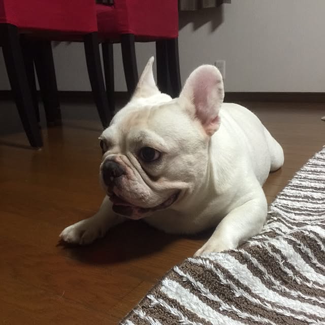mr.sentakuさんの実例写真