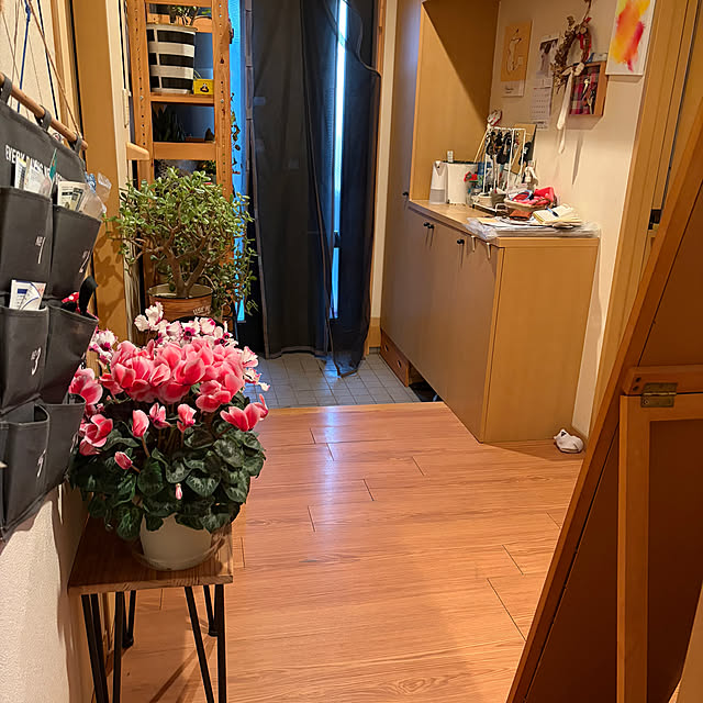 momoさんの実例写真