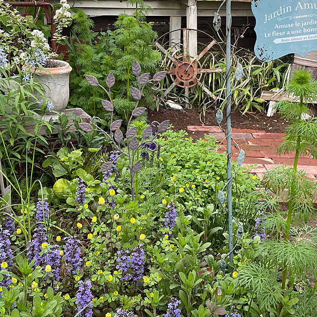 kokko3さんの実例写真