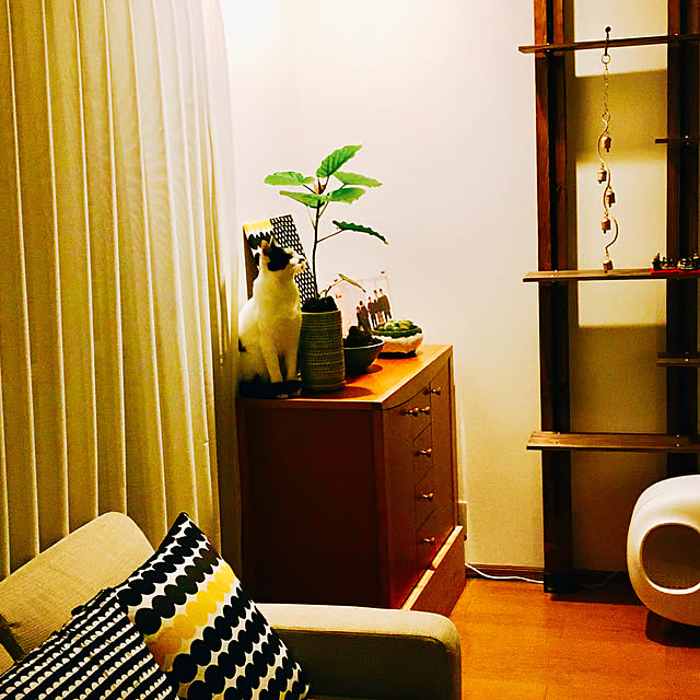 nobikoさんの実例写真