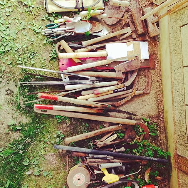 shindyさんの実例写真