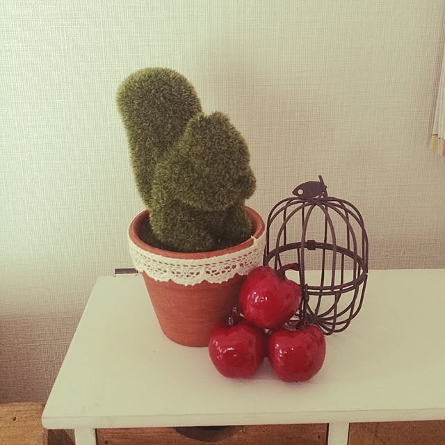 akinkoさんの実例写真