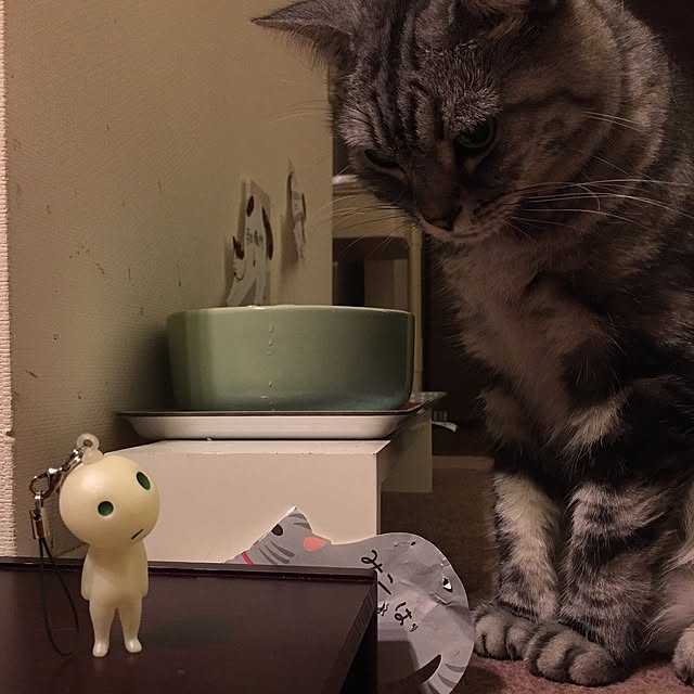 mikomaruさんの実例写真