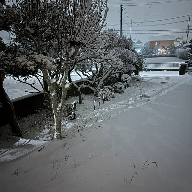 akkeyさんの部屋